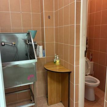 Сдается Нежилое помещение, 24 м²