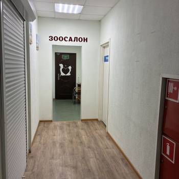 Сдается Нежилое помещение, 24 м²