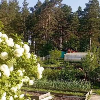 Продается Участок, 600 м²