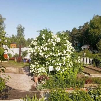 Продается Участок, 600 м²