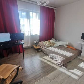 Продается 1-комнатная квартира, 23,8 м²