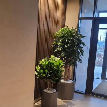 Сдается 1-комнатная квартира, 24 м²
