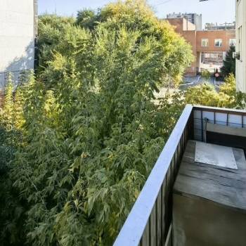 Продается 3-х комнатная квартира, 65,4 м²