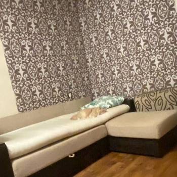 Сдается 2-х комнатная квартира, 42,2 м²
