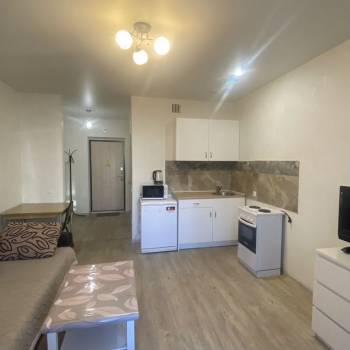 Сдается 1-комнатная квартира, 26 м²