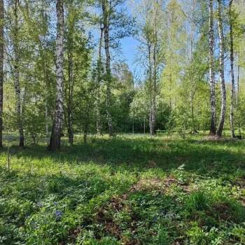 Продается Участок, 1000 м²