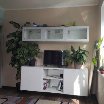 Сдается 2-х комнатная квартира, 52 м²