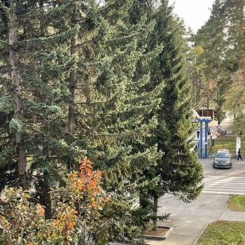 Сдается Комната, 16 м²