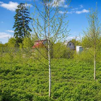 Продается Участок, 1100 м²