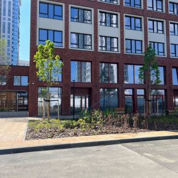 Сдается Нежилое помещение, 82 м²