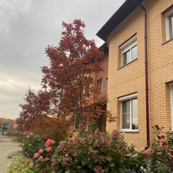 Сдается Дом, 120 м²