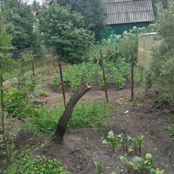 Продается Участок, 480 м²