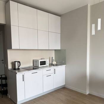 Сдается 1-комнатная квартира, 30,3 м²