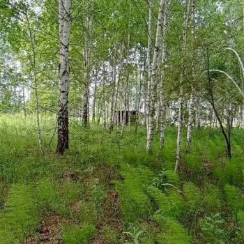 Продается Участок, 1200 м²