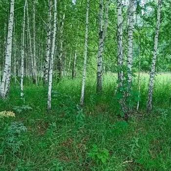 Продается Участок, 1200 м²