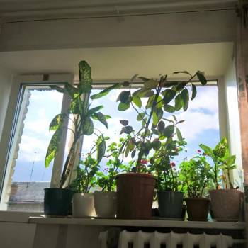 Продается 1-комнатная квартира, 31 м²