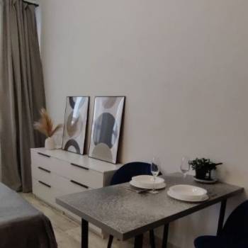 Сдается 1-комнатная квартира, 24,6 м²