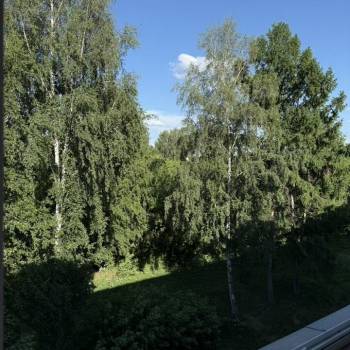 Сдается 2-х комнатная квартира, 44 м²