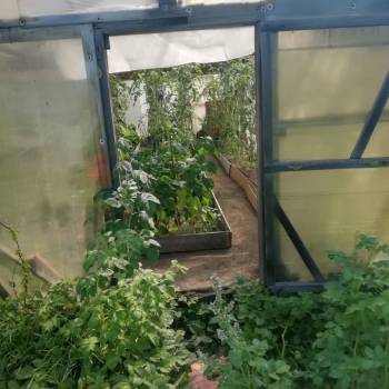 Продается Дом, 30 м²