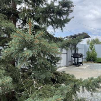 Продается Дом, 146 м²