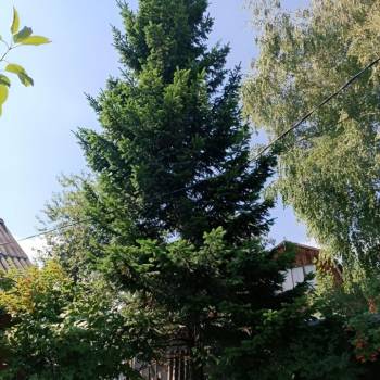 Продается Дом, 24 м²