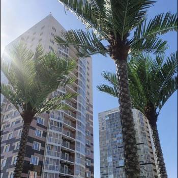 Сдается 2-х комнатная квартира, 50,6 м²