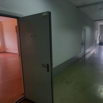 Сдается Нежилое помещение, 51,2 м²