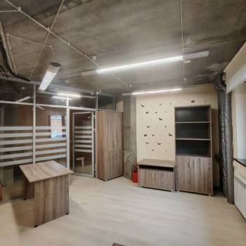 Сдается Нежилое помещение, 243,9 м²