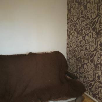 Сдается Комната, 11 м²