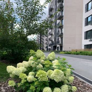 Продается 3-х комнатная квартира, 111,8 м²