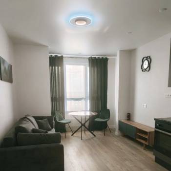 Сдается 1-комнатная квартира, 24,3 м²