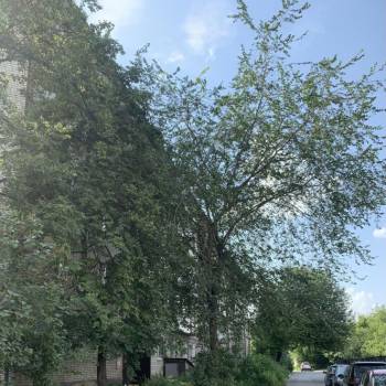 Продается 3-х комнатная квартира, 50 м²