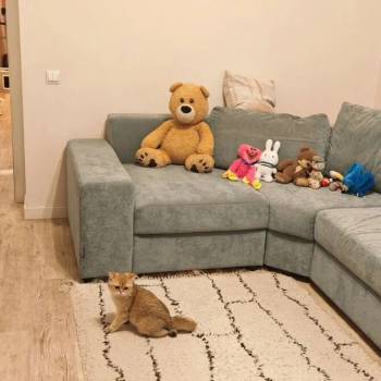 Продается 2-х комнатная квартира, 59 м²
