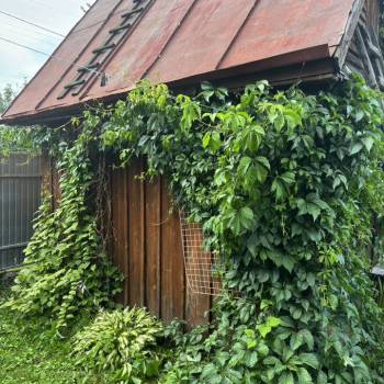 Продается Дом, 23 м²