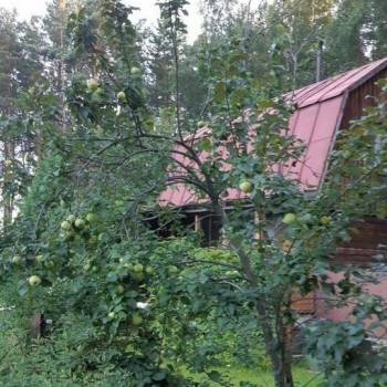 Продается Дом, 50 м²