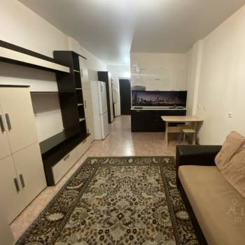 Сдается 1-комнатная квартира, 26,4 м²