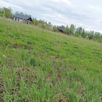 Продается Участок, 1200 м²