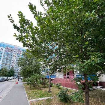 Сдается 1-комнатная квартира, 23,5 м²