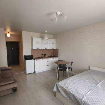 Сдается 1-комнатная квартира, 26,7 м²