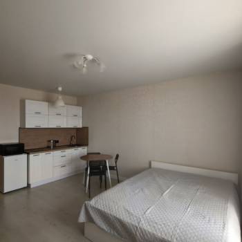 Сдается 1-комнатная квартира, 26,7 м²