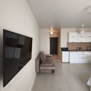 Сдается 1-комнатная квартира, 26,7 м²