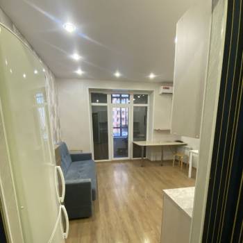 Сдается 1-комнатная квартира, 24,3 м²
