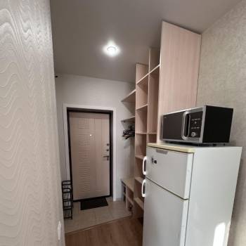 Сдается 1-комнатная квартира, 24,2 м²