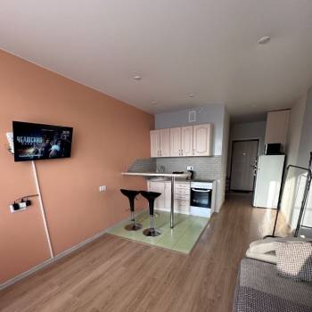 Сдается 1-комнатная квартира, 24,2 м²
