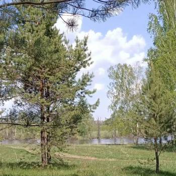 Продается Участок, 1000 м²