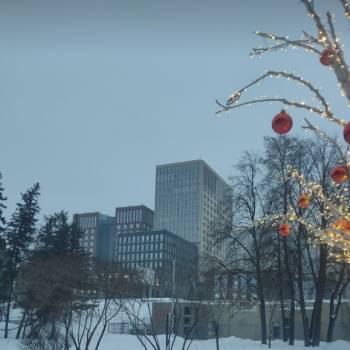 Сдается 1-комнатная квартира, 30,5 м²