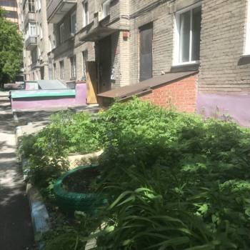 Сдается 2-х комнатная квартира, 42 м²