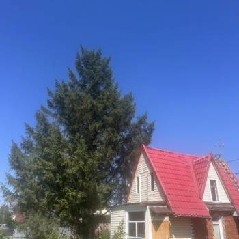 Продается Дом, 30 м²