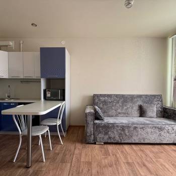 Сдается 1-комнатная квартира, 25 м²
