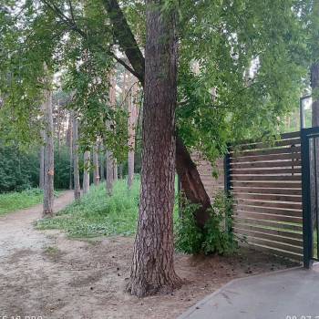 Сдается 1-комнатная квартира, 23 м²